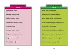 Artikülasyon Bozuklukları Terapi Seti