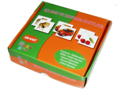 Eşleme ve Kavram Kartları (272 kart)